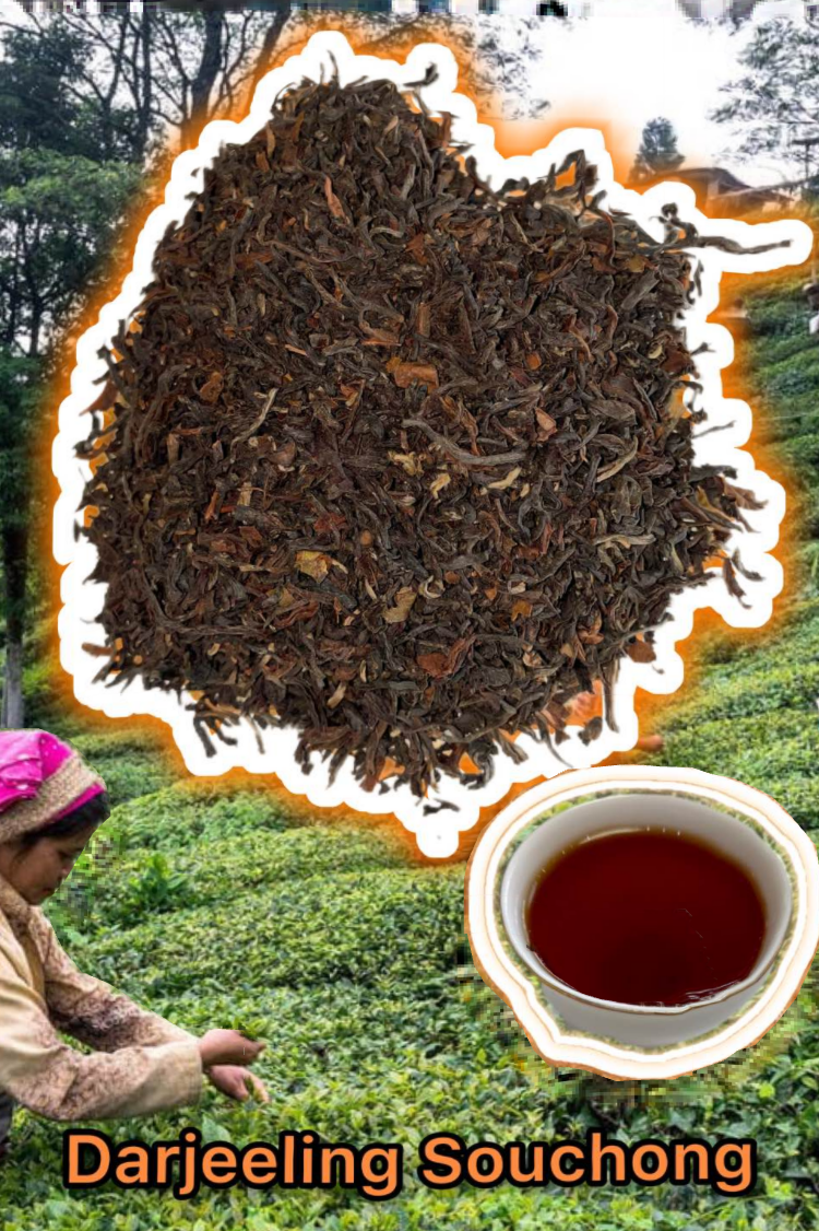 Organic Darjeeling Souchong