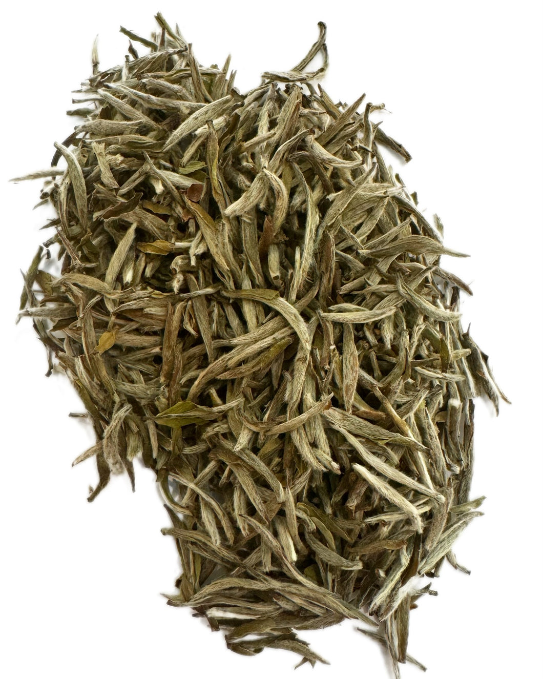 Fujian White Fur Silver Needle King