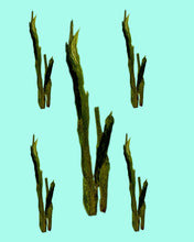Load image into Gallery viewer, Tai Ping Hou Kui
