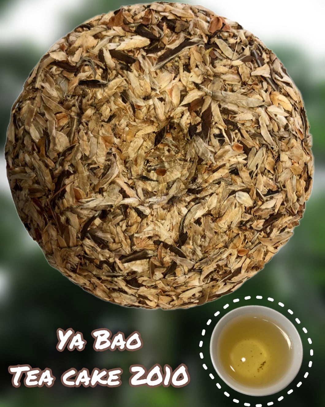 Ya Bao Tea Cake 2010
