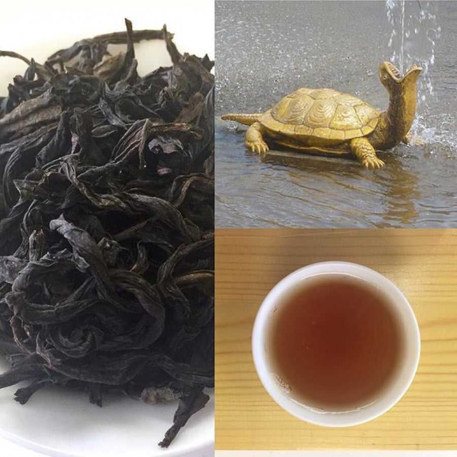 Wu Yi Water Golden Turtle Oolong